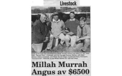 2001 Bull Sale Report