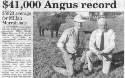 2003 Bull Sale Report