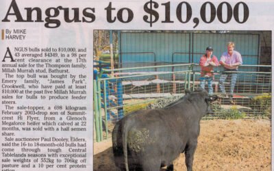 2004 Bull Sale Report