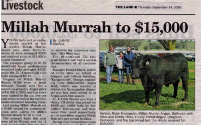 2006 Bull Sale Report