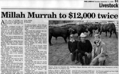 2008 Bull Sale Report