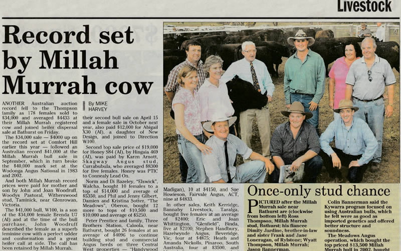 2003 Cow Sale Report