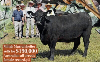 2017 Cow Sale Report
